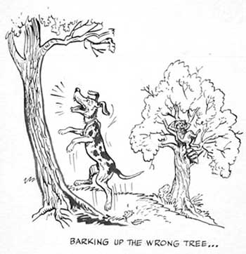 bark up the wrong tree