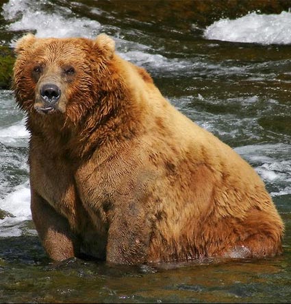 bear in mind