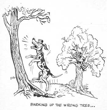 иллюстрация к разделу: bark up the wrong tree