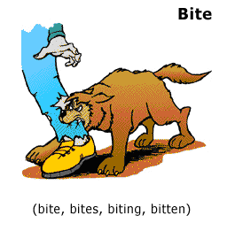 Перевести bites. Bite перевод. Глагол bite.